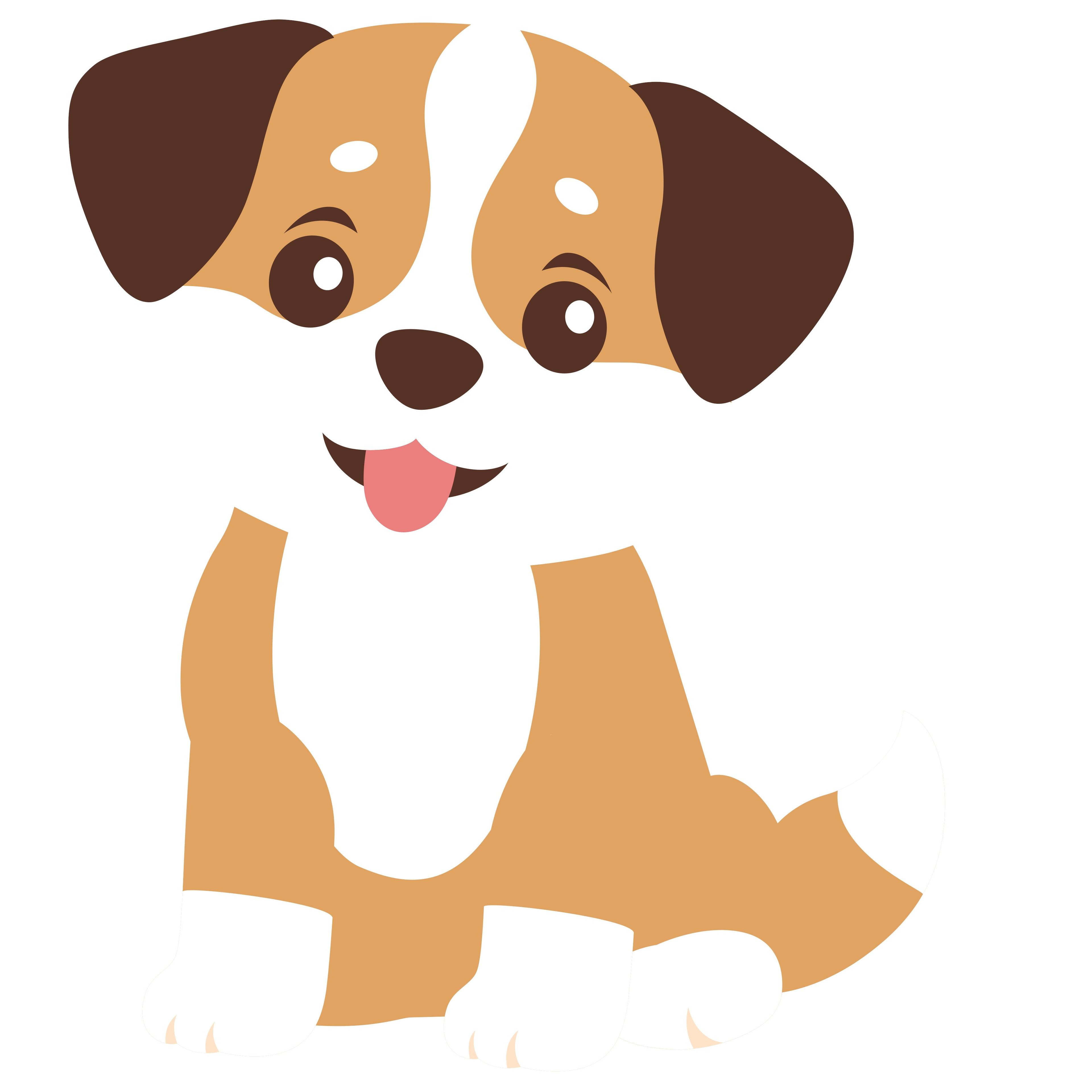 Patirtis sveikatos sektoriuje