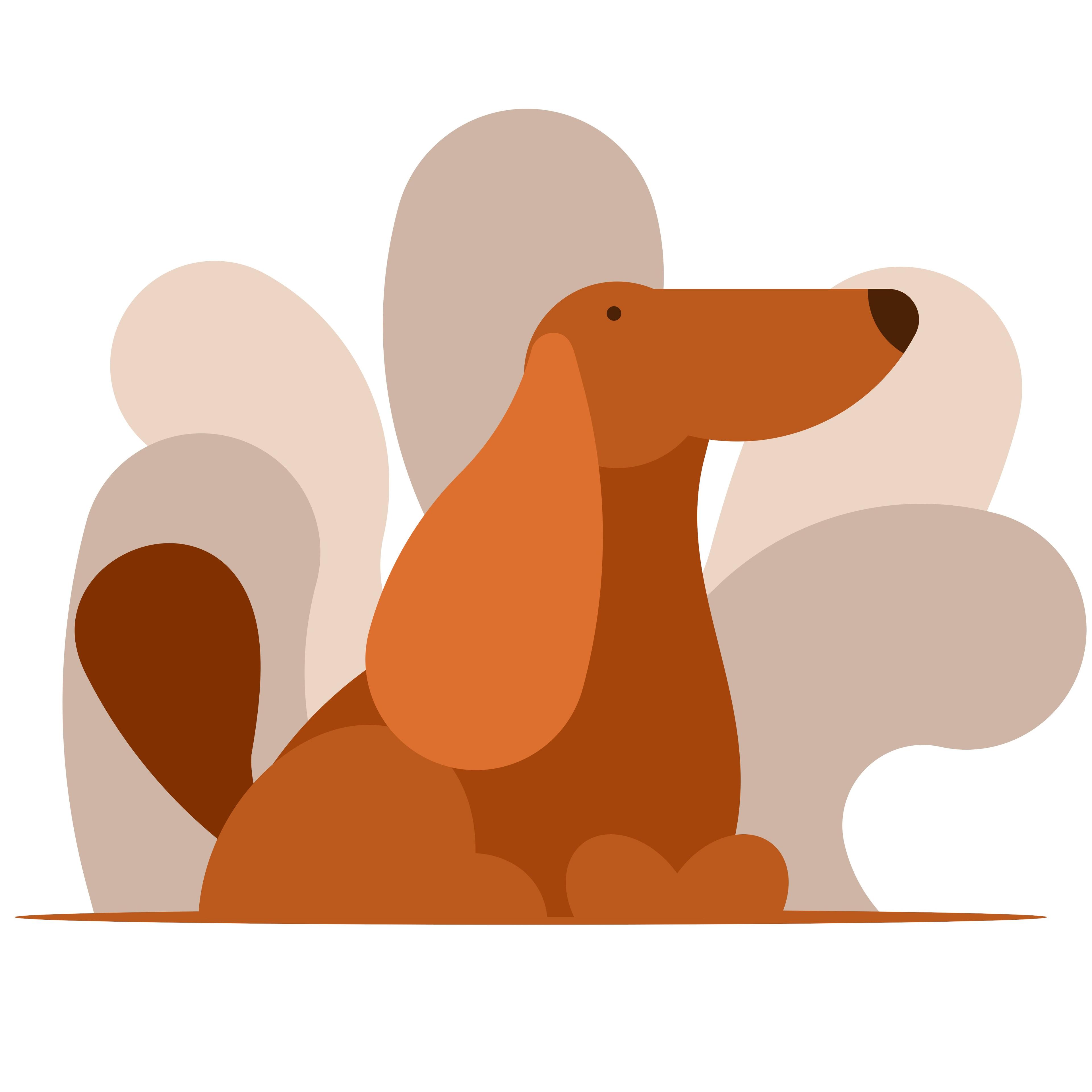 Lietuviškas fokusas